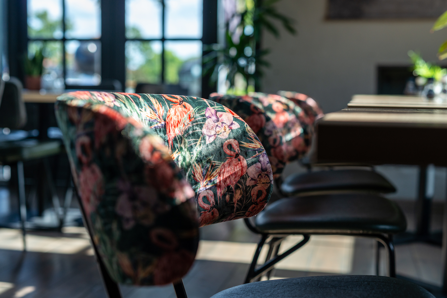 Homint De Oranjerie Joure